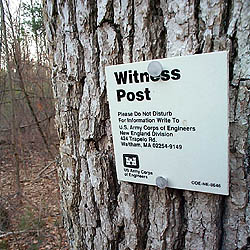 Witness Post