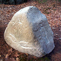 Carved Rock
