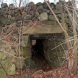 Cow Tunnel