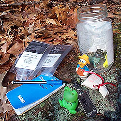 The Cache