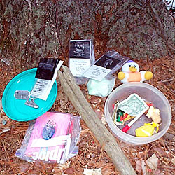 The Cache