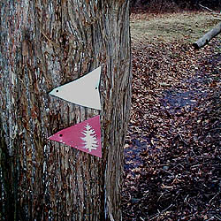 Trail Marker